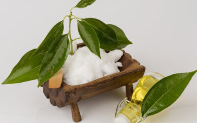 WHY IS CAMPHOR SO POPULAR IN THE COSMETIC BRANCH?